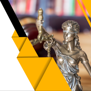 Membresía Profesional Anual